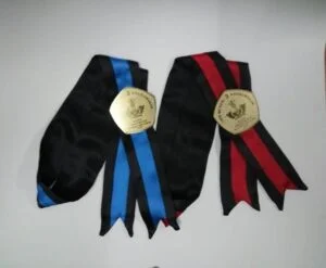 harga samir wisuda